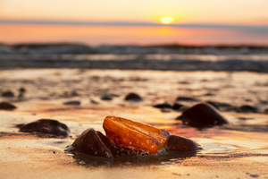 Amber Extract: Anti-Aging Superhero Ingredient
