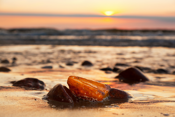 Amber Extract: Anti-Aging Superhero Ingredient